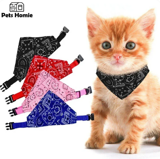 Must-Have Pet Fashion Accessories for 2025 - Top Picks for Your Pet's Wardrobe