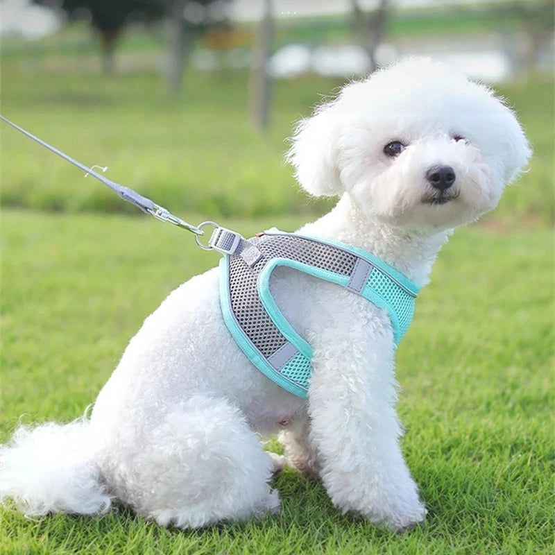 Dog Harness Clothes Vest Chest Cat Collars Rope Small Dogs Reflective Breathable Adjustable Outdoor Walking Dog Accessories