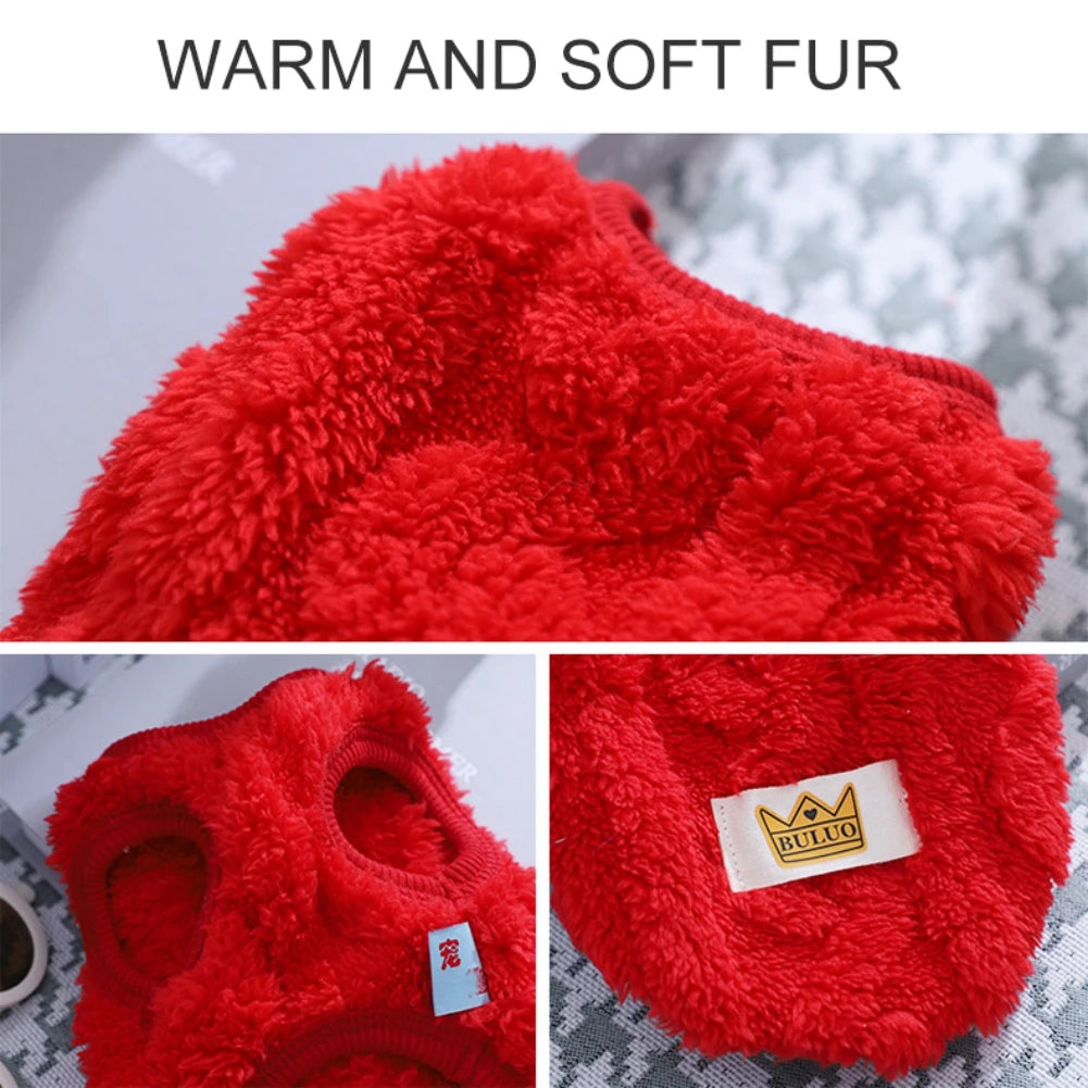 Cute Wavy Double-sided Fleece Pet Clothes Soft Puppy Kitten Coats for Small Medium Dogs Cats Warm Winter Dog Cat Jacket Clothing