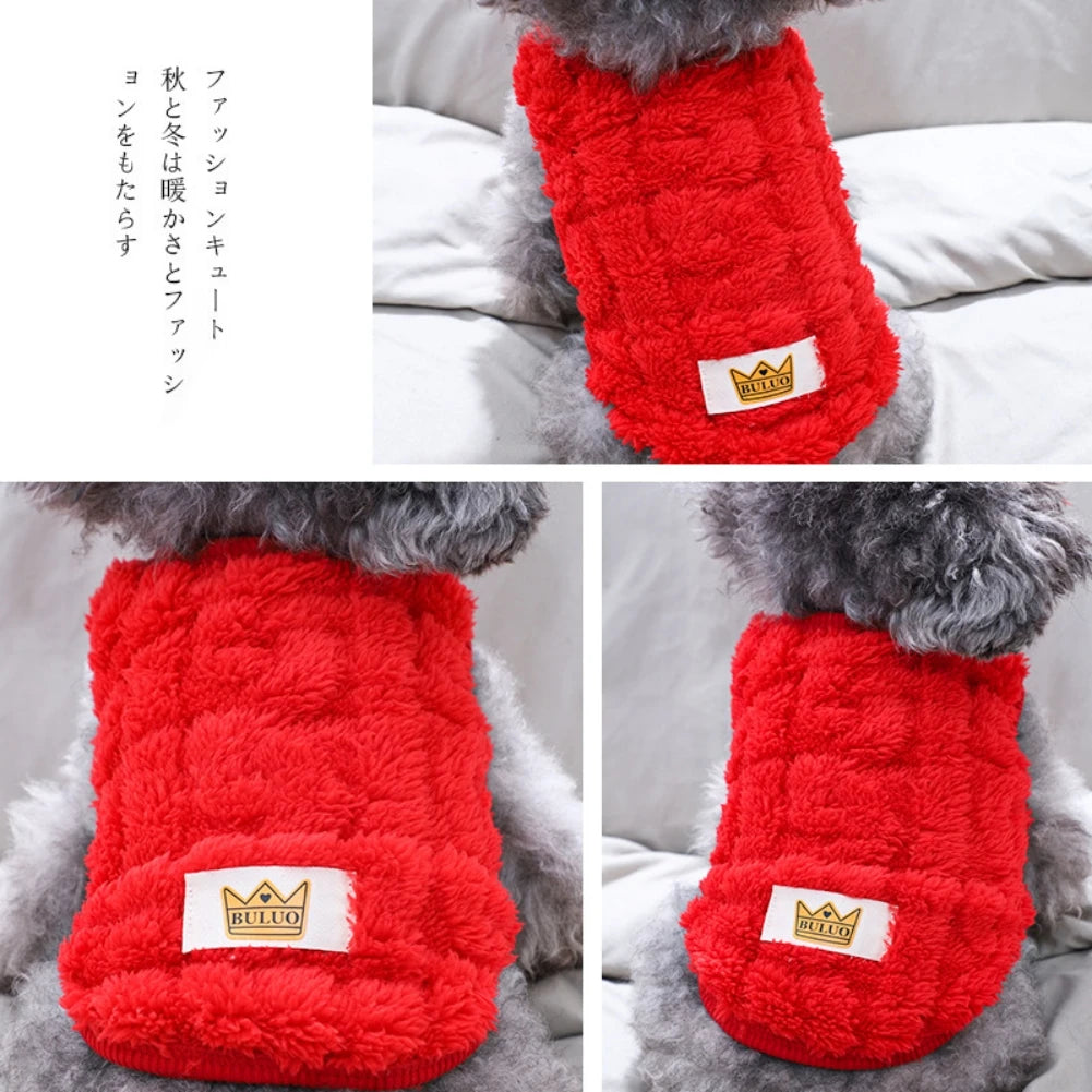 Cute Wavy Double-sided Fleece Pet Clothes Soft Puppy Kitten Coats for Small Medium Dogs Cats Warm Winter Dog Cat Jacket Clothing