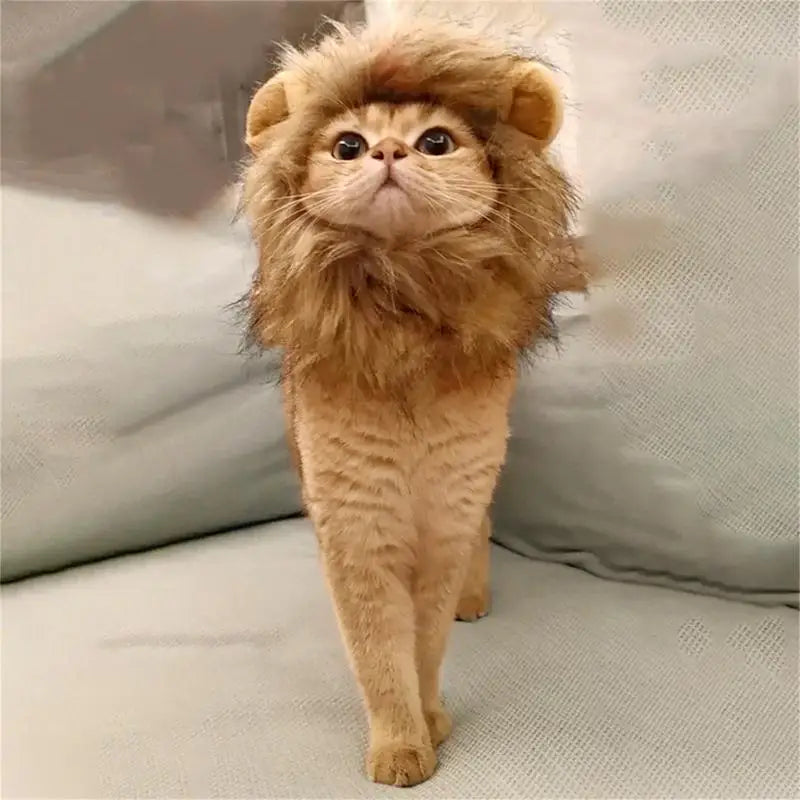 Cat Lion Mane Kitten Customs For Halloween Cosplay Pet Costumes Hat For Christmas Dress Up Accessories Decoration For Kitten
