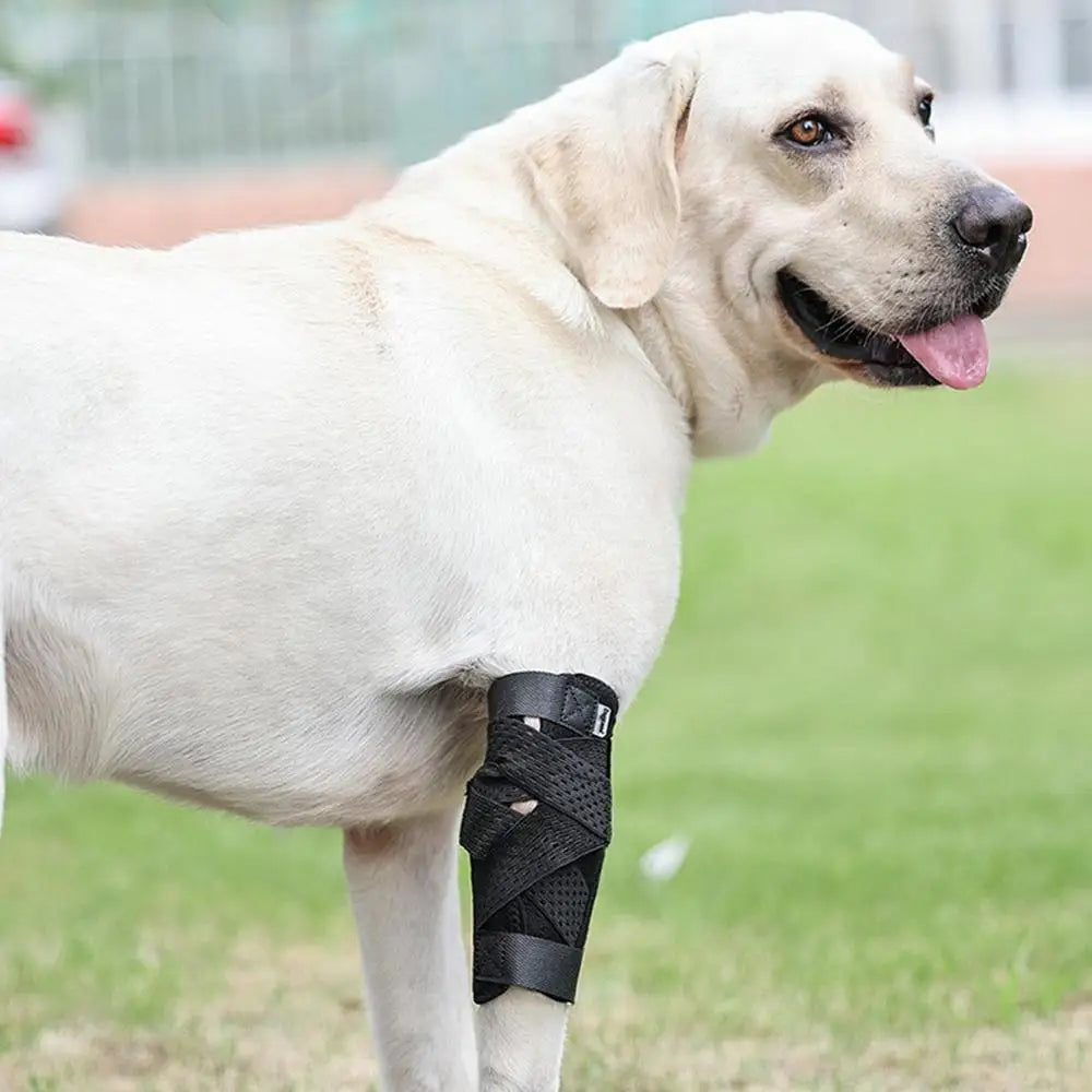 Dog Leg Brace Compression Wrap And Rear Leg Brace For Dog Joint Wrap Protective And Stable Support Dog Leg Strap For Injury