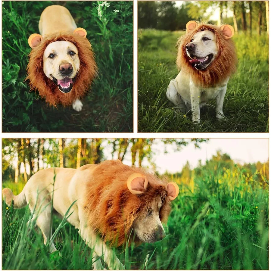 Dog Lion Mane Costume Realistic Mane with Ears for Medium to Large Sized Dogs Pet Halloween Costumes Birthday Party Cosplay App
