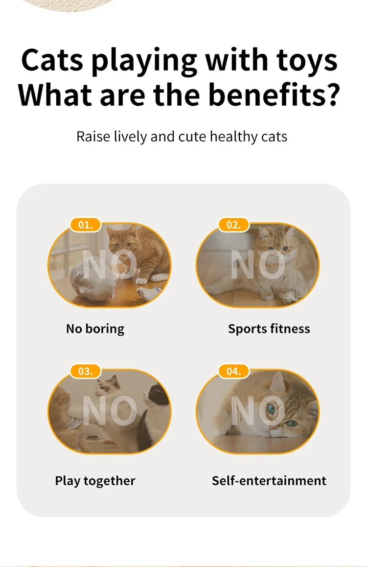 Cat Toys Interactive Hide and Seek Cat Toy with Mouse Squeaky Motion Activated Moving Concealed Feathers Kitten Teaser Toy