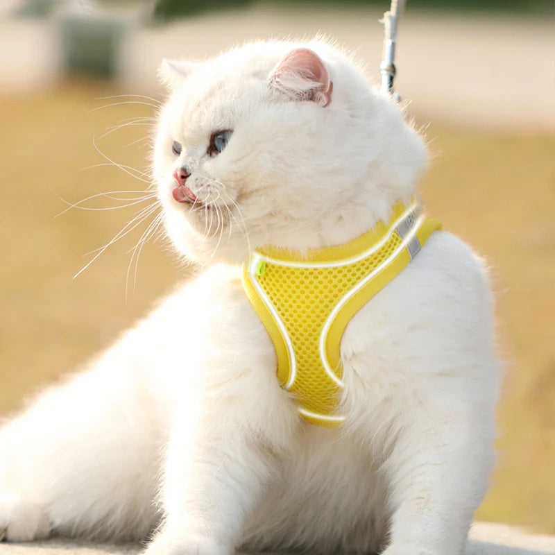 Dog Harness Clothes Vest Chest Cat Collars Rope Small Dogs Reflective Breathable Adjustable Outdoor Walking Dog Accessories