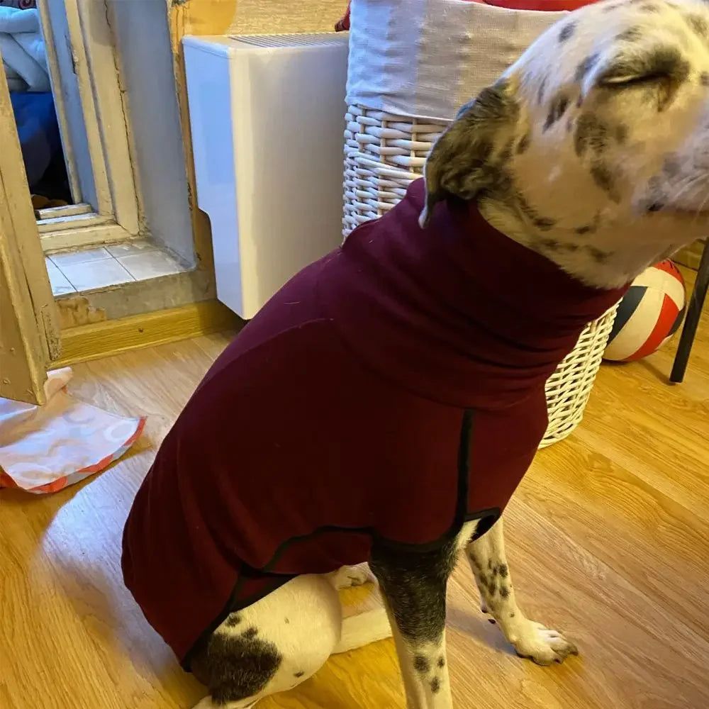 Dog Pet Winter High Collar Jumper Sweater Medium Big Dog Coat Jacket Great Dane Greyhound Pitbull Clothing Pets Clothes