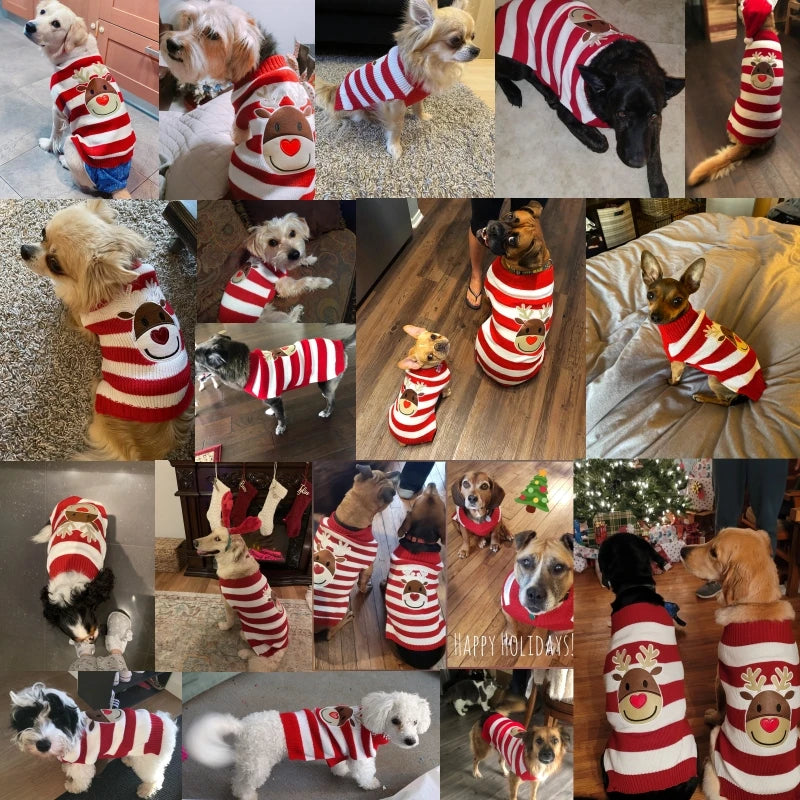 Dog Sweater Christmas Winter Warm Dog Clothes Xmas Outfit for Dogs Puppy Coat Dog Costume Chihuahua Striped Dog Knitted Sweater