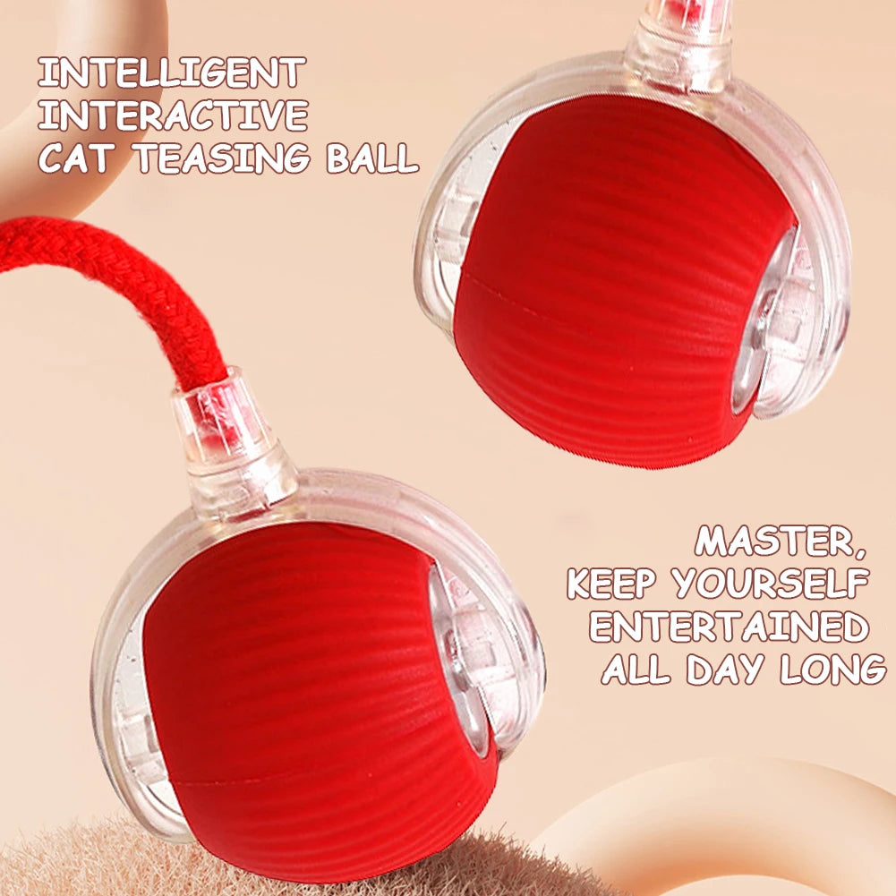 2PC/1PC Cat Interactive Ball Toys Automatic Rolling Ball Rechargeable Self Rotating Ball Fast Rolling Ball for Indoor Cat Kitten