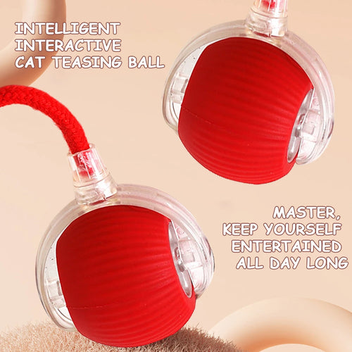 2PC/1PC Cat Interactive Ball Toys Automatic Rolling Ball Rechargeable Self Rotating Ball Fast Rolling Ball for Indoor Cat Kitten
