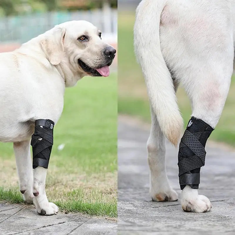 Dog Leg Brace Compression Wrap And Rear Leg Brace For Dog Joint Wrap Protective And Stable Support Dog Leg Strap For Injury