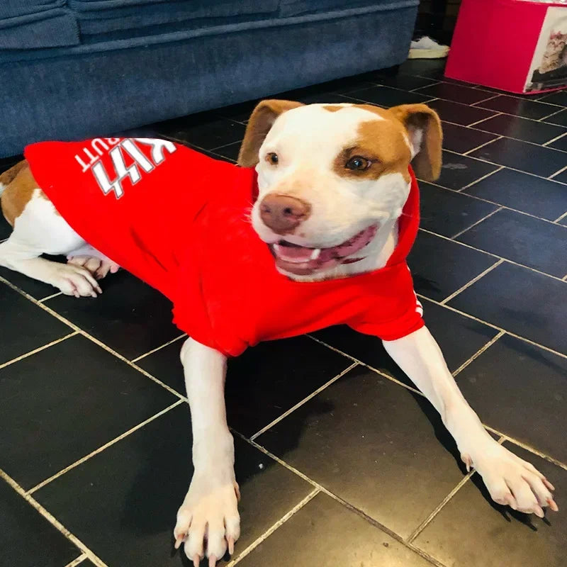 Large, Medium and Small Dogs, Velvet Warm Pet Clothing, Dog Clothes, Dog Hoodies, Dog Sweaters, Big Dogs