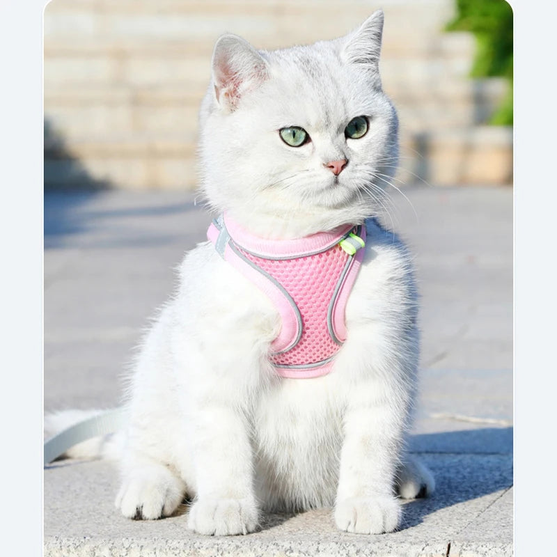 Dog Harness Clothes Vest Chest Cat Collars Rope Small Dogs Reflective Breathable Adjustable Outdoor Walking Dog Accessories