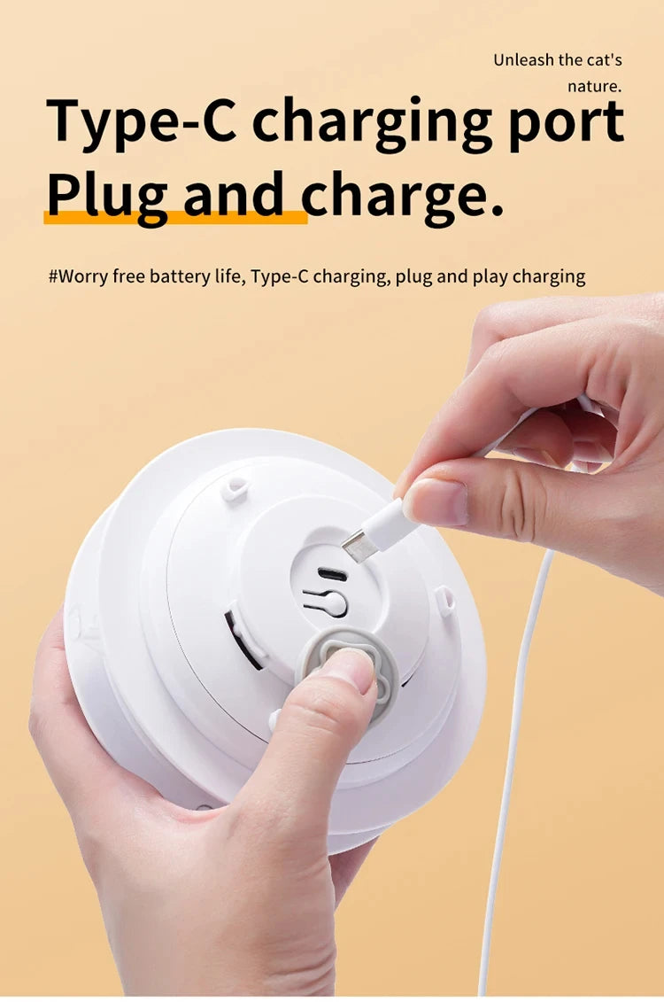 Cat Toys Interactive Hide and Seek Cat Toy with Mouse Squeaky Motion Activated Moving Concealed Feathers Kitten Teaser Toy