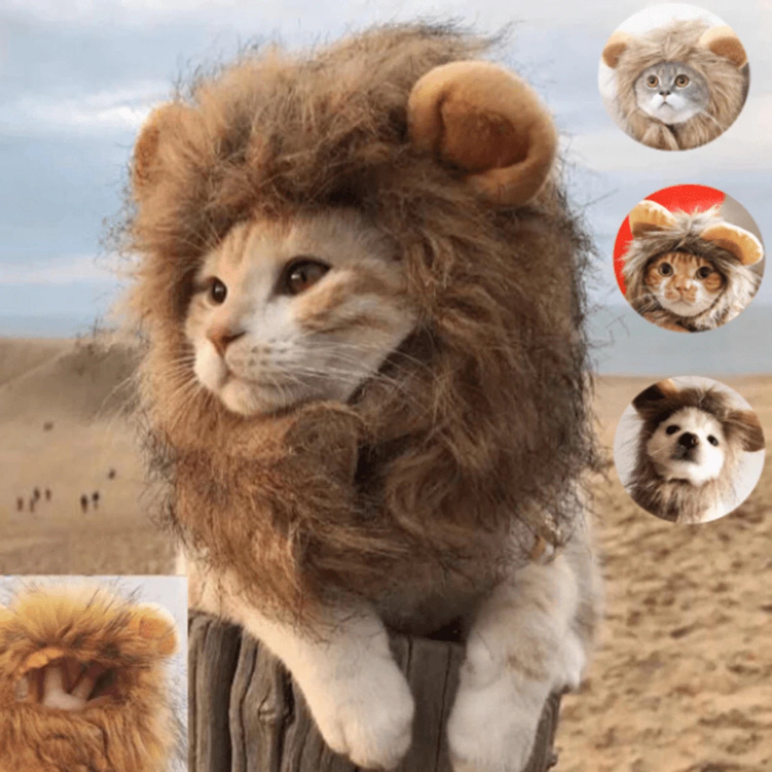 Pet Cute Lion Bristle Cat Wig  For Dog & Cat Decorative Accessories Lion Cosplay Costume Fancy Hair Headgear Pet Supplies