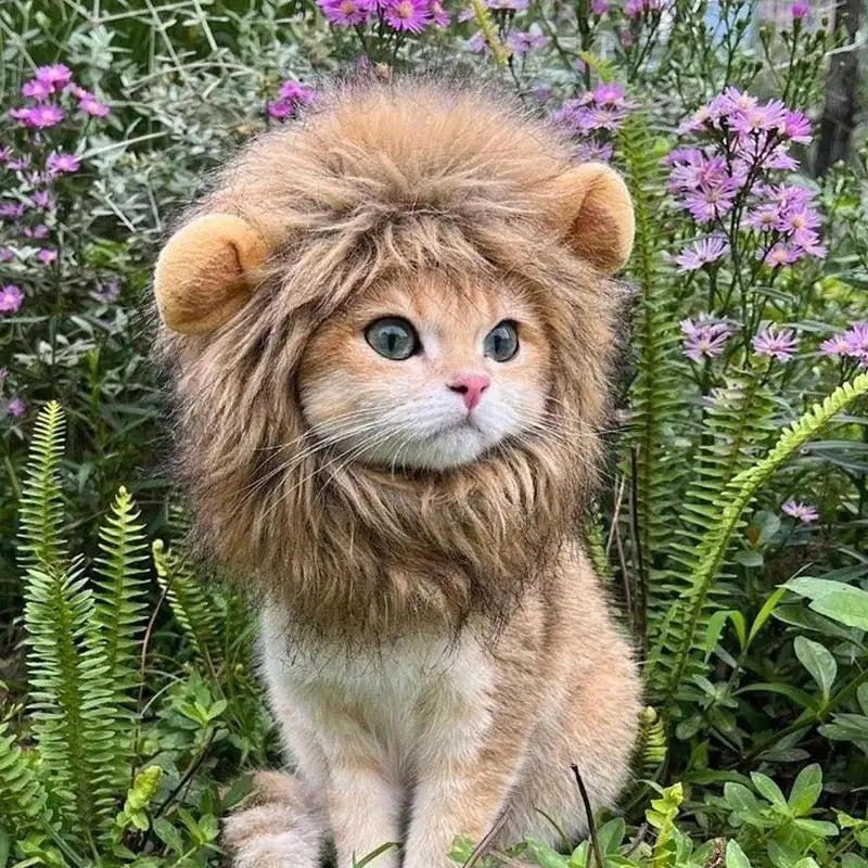 Cat Costume Cute Lion Mane Cat Wig Hat Cosplay Clothes Caps Dress Up Puppy Kitten Halloween Christmas Party Decoration Supplies