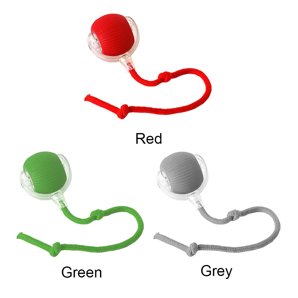 2PC/1PC Cat Interactive Ball Toys Automatic Rolling Ball Rechargeable Self Rotating Ball Fast Rolling Ball for Indoor Cat Kitten