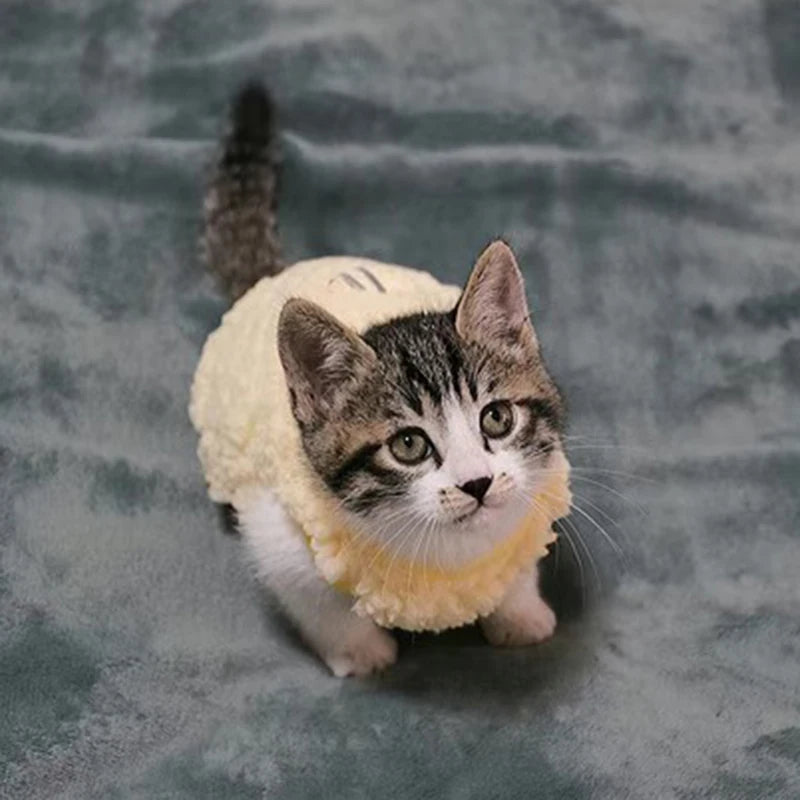 Newborn Cat Kitten Velvet Clothing Winter Warm Little Pet Sweater for Small Animals Bunny Pullovers Clothes Teacup Poodle XXXS