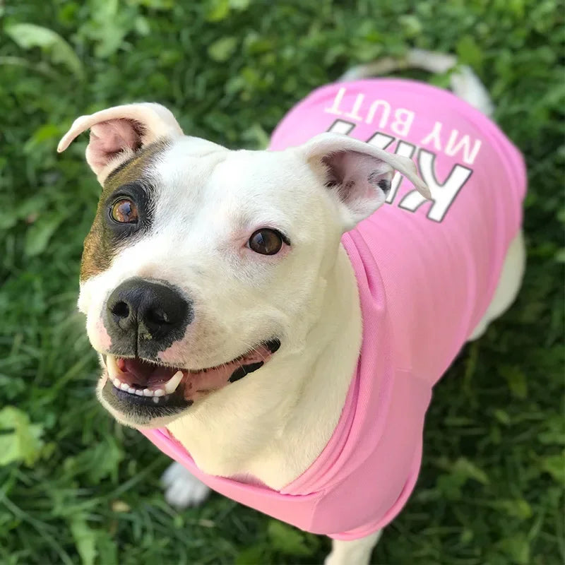 Large, Medium and Small Dogs, Velvet Warm Pet Clothing, Dog Clothes, Dog Hoodies, Dog Sweaters, Big Dogs