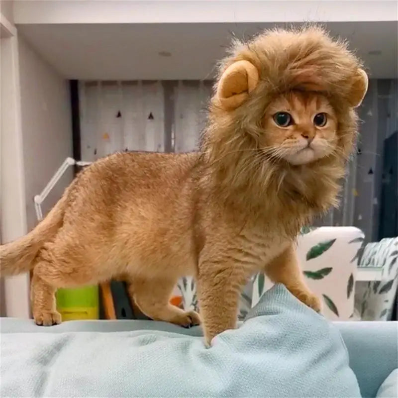 Cat Lion Mane Kitten Customs For Halloween Cosplay Pet Costumes Hat For Christmas Dress Up Accessories Decoration For Kitten