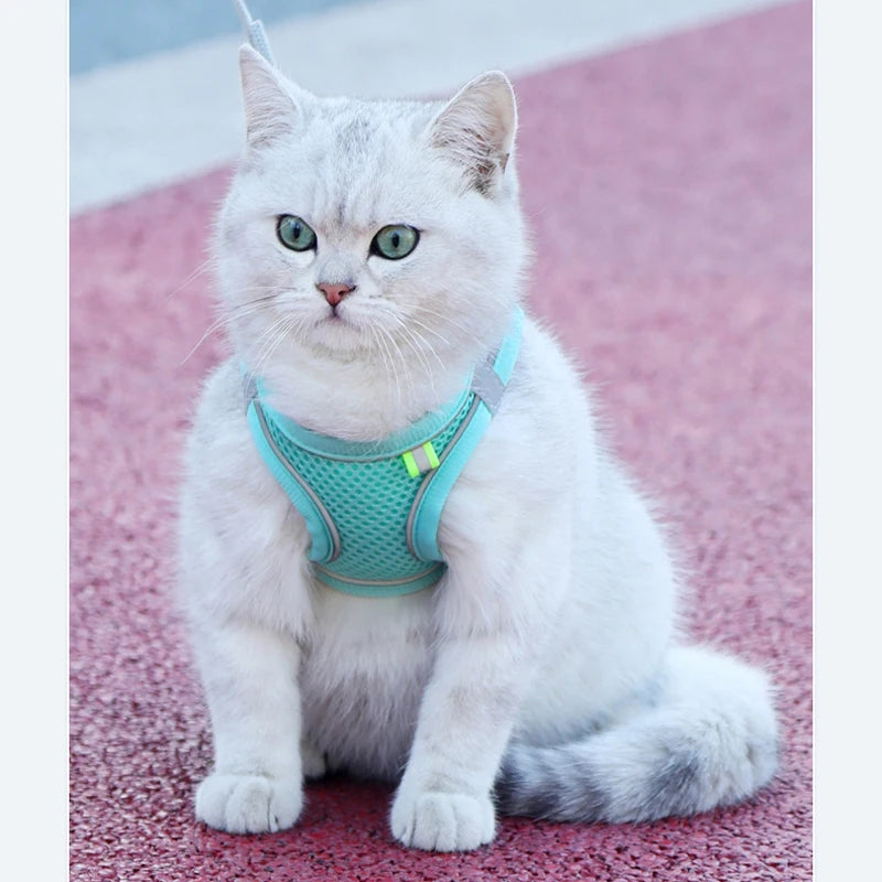 Dog Harness Clothes Vest Chest Cat Collars Rope Small Dogs Reflective Breathable Adjustable Outdoor Walking Dog Accessories