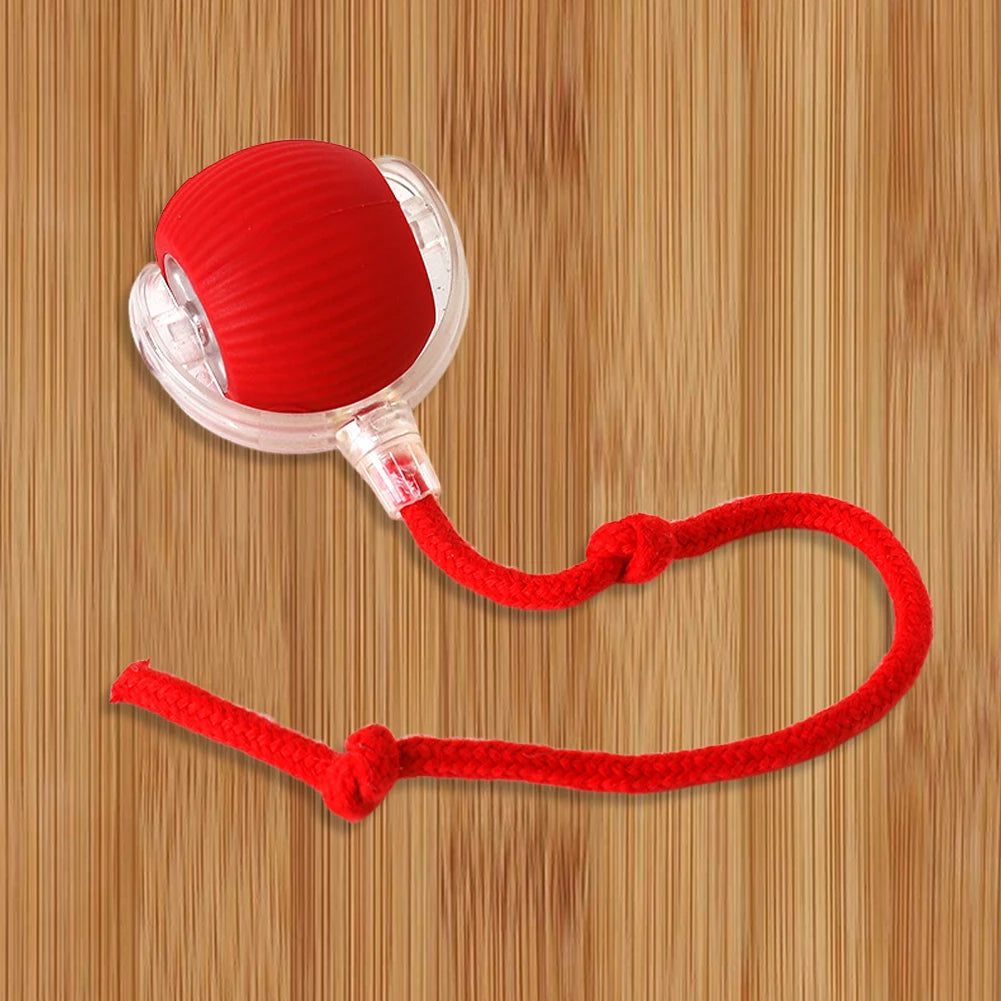 2PC/1PC Cat Interactive Ball Toys Automatic Rolling Ball Rechargeable Self Rotating Ball Fast Rolling Ball for Indoor Cat Kitten